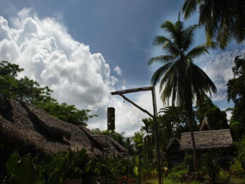 Wild Orchid Resort - Havelock Island Vijay Nagar Beach Exterior foto