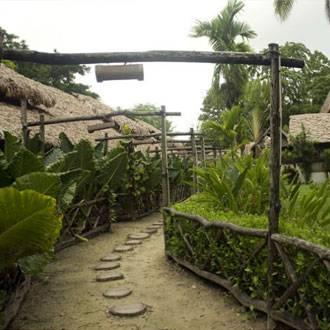 Wild Orchid Resort - Havelock Island Vijay Nagar Beach Exterior foto